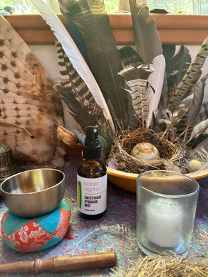 Sweetgrass Hydrosol Mist :: SEASONAL