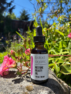 RESTORE Beauty Oil