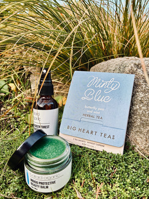 INDIGO WINTER GLOW SET - 2025 Seasonal