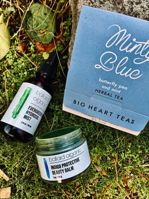 INDIGO WINTER GLOW SET - 2025 Seasonal