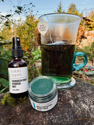 INDIGO WINTER GLOW SET - 2025 Seasonal