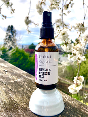 Chrysalis Hydrosol Mist :: SEASONAL